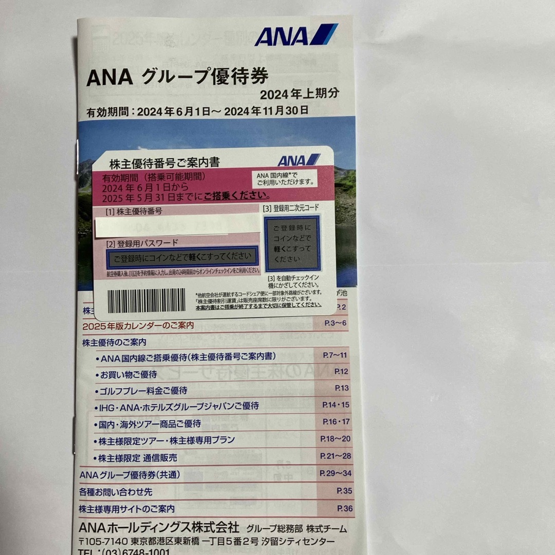 ANA(全日本空輸)(エーエヌエー(ゼンニッポンクウユ))のANA 株主優待券  チケットの乗車券/交通券(航空券)の商品写真