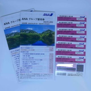 エーエヌエー(ゼンニッポンクウユ)(ANA(全日本空輸))のANA株主優待(航空券)