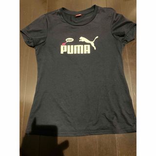 PUMA - プーマ  M