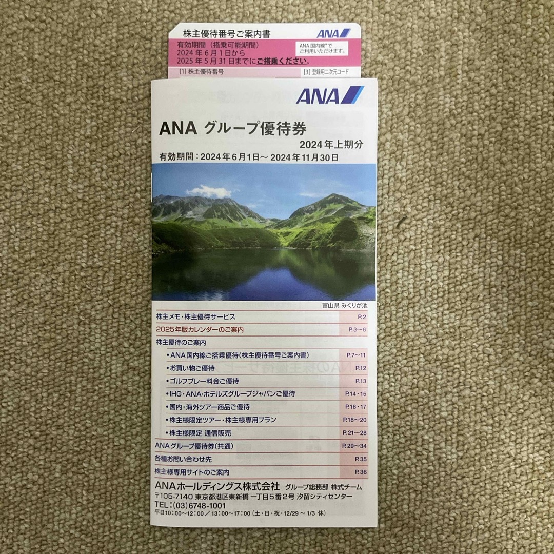 ANA(全日本空輸)(エーエヌエー(ゼンニッポンクウユ))のANA株主優待券　1枚 チケットの乗車券/交通券(航空券)の商品写真