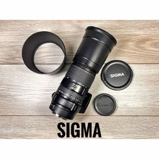 SIGMA - ✨安心保証✨SIGMA 170-500mm f/5-6.3 APO CANON