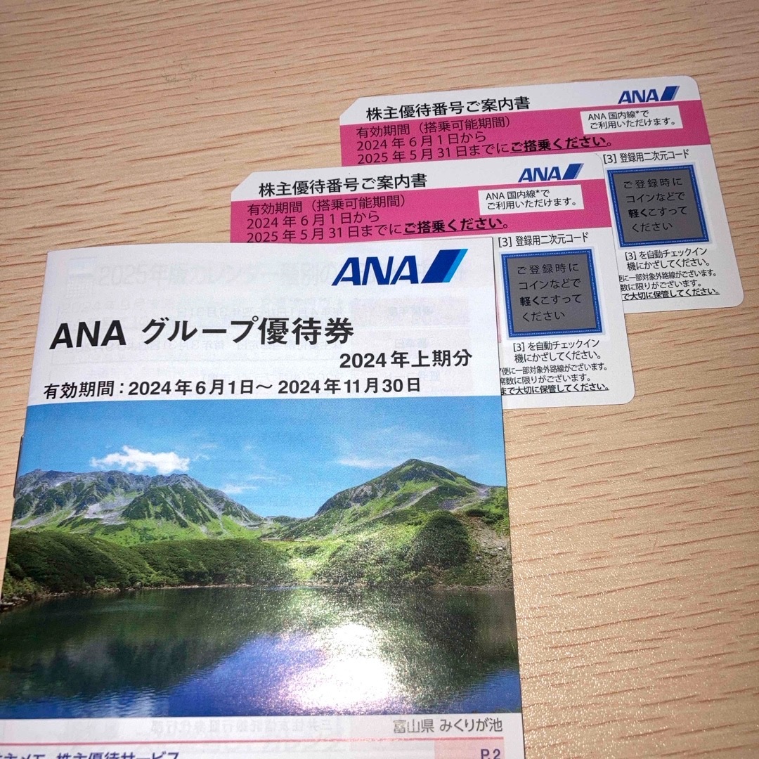 ANA(全日本空輸)(エーエヌエー(ゼンニッポンクウユ))のANA(全日本空輸) 株主優待 2枚 チケットの優待券/割引券(その他)の商品写真