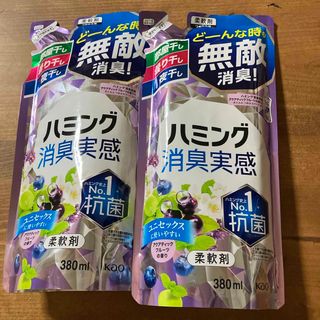 カオウ(花王)のハミング消臭実感 アクアティックフルーツの香り つめかえ用 380ml２袋セット(洗剤/柔軟剤)