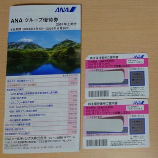 ANA 全日空 株主優待券2枚使用可能期間　2024年6月1日〜2025(その他)