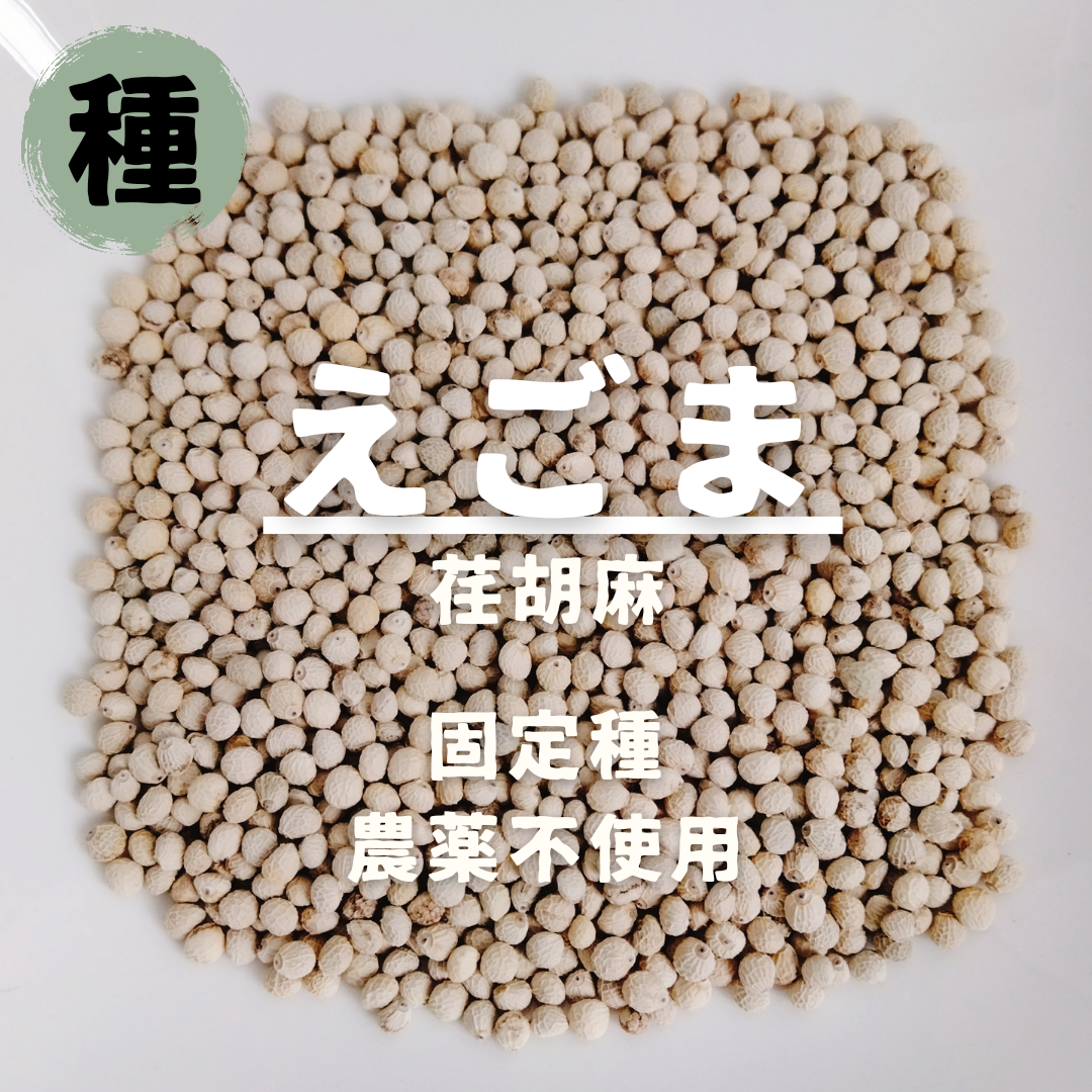 【種】えごま　荏胡麻　無農薬　400粒 食品/飲料/酒の食品(野菜)の商品写真