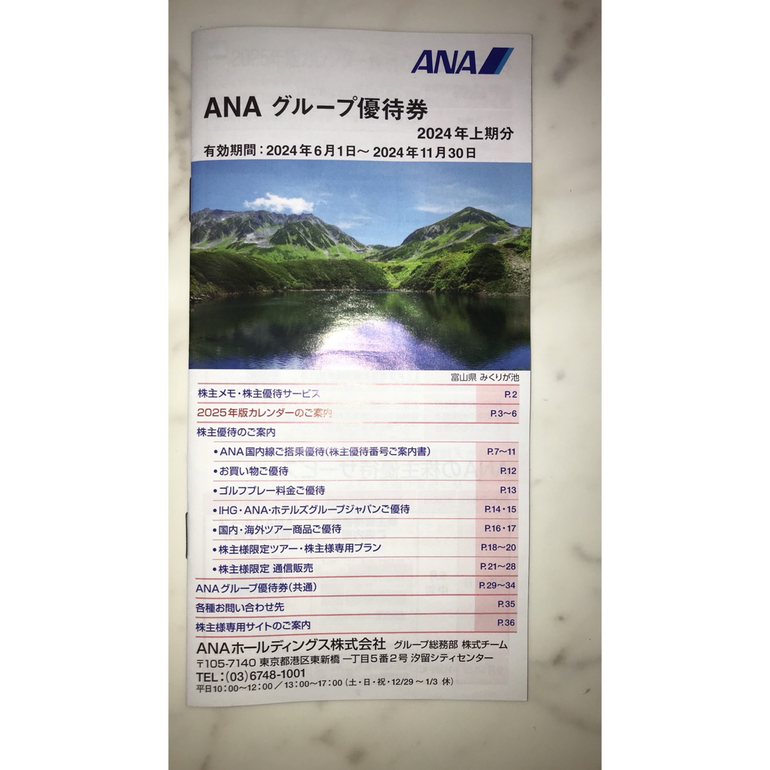 ANA(全日本空輸)(エーエヌエー(ゼンニッポンクウユ))のANA 株主優待　8枚　最新 チケットの乗車券/交通券(航空券)の商品写真