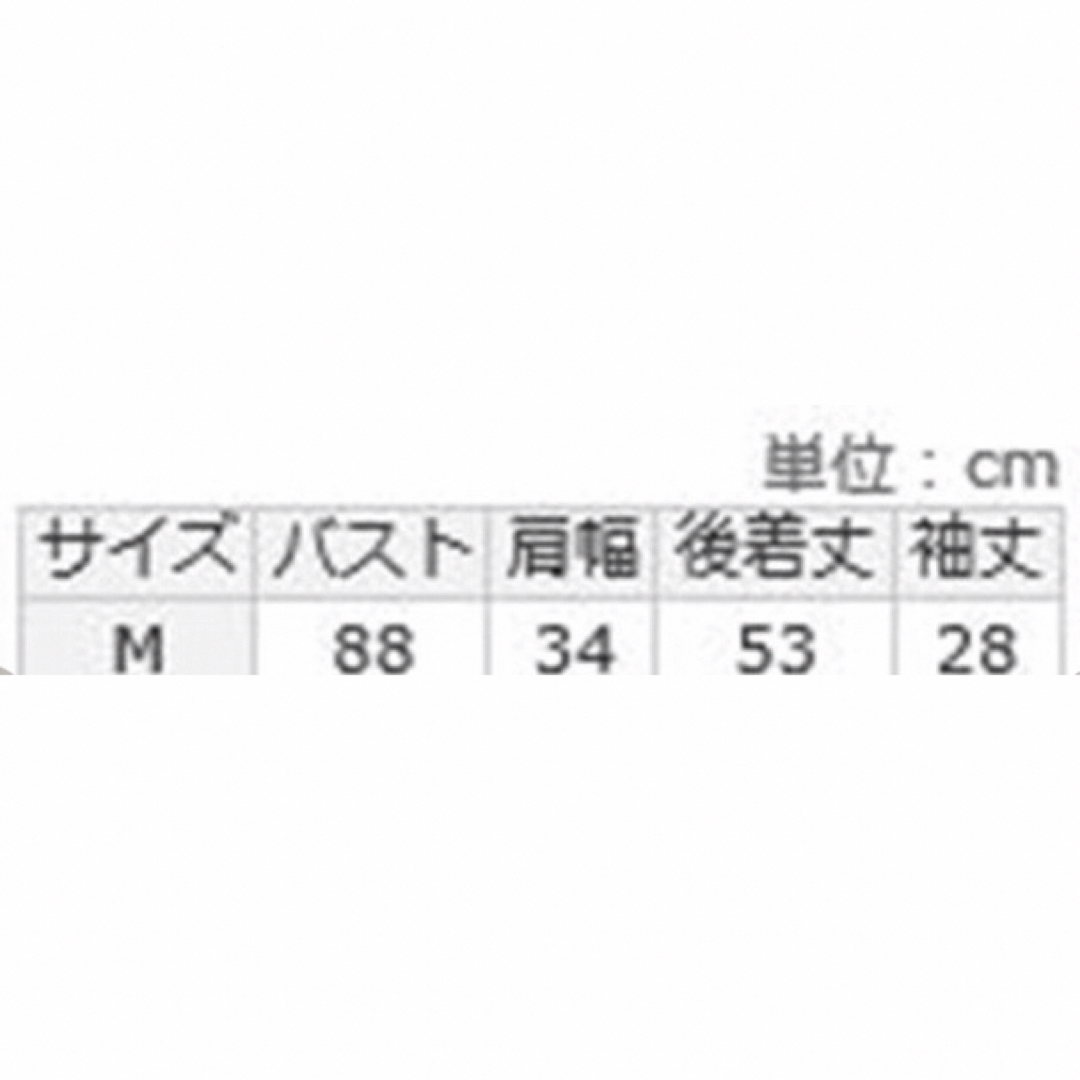 Ranan(ラナン)のラナン　Ranan 衿付き　サマーニットプルオーバー　オレンジ　トップス レディースのトップス(シャツ/ブラウス(半袖/袖なし))の商品写真