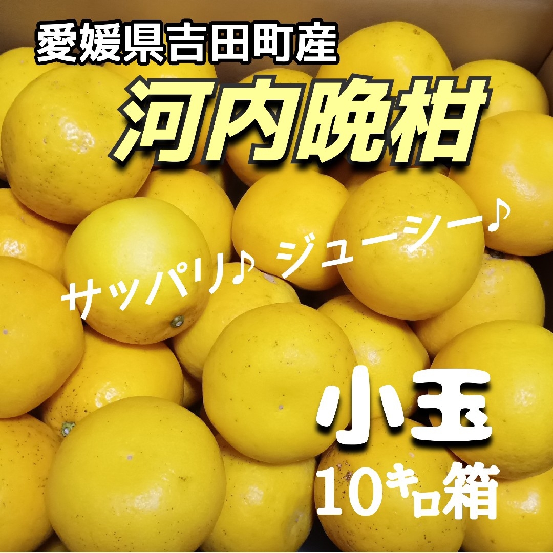 愛媛県産★農家直送★河内晩柑 小玉10㌔箱 食品/飲料/酒の食品(フルーツ)の商品写真