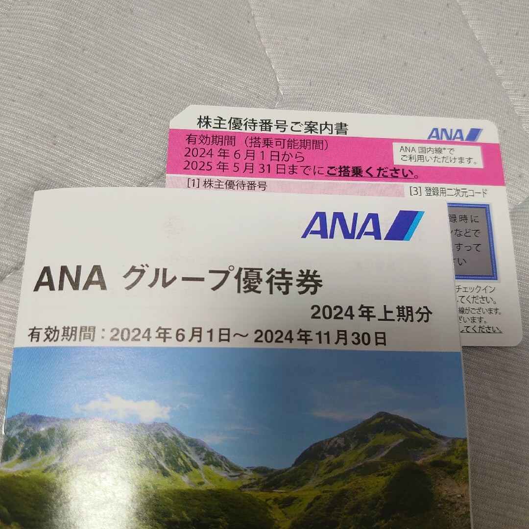 ANA(全日本空輸)(エーエヌエー(ゼンニッポンクウユ))のANA株主優待券 2024/6/1から2025/5/31 チケットの優待券/割引券(その他)の商品写真