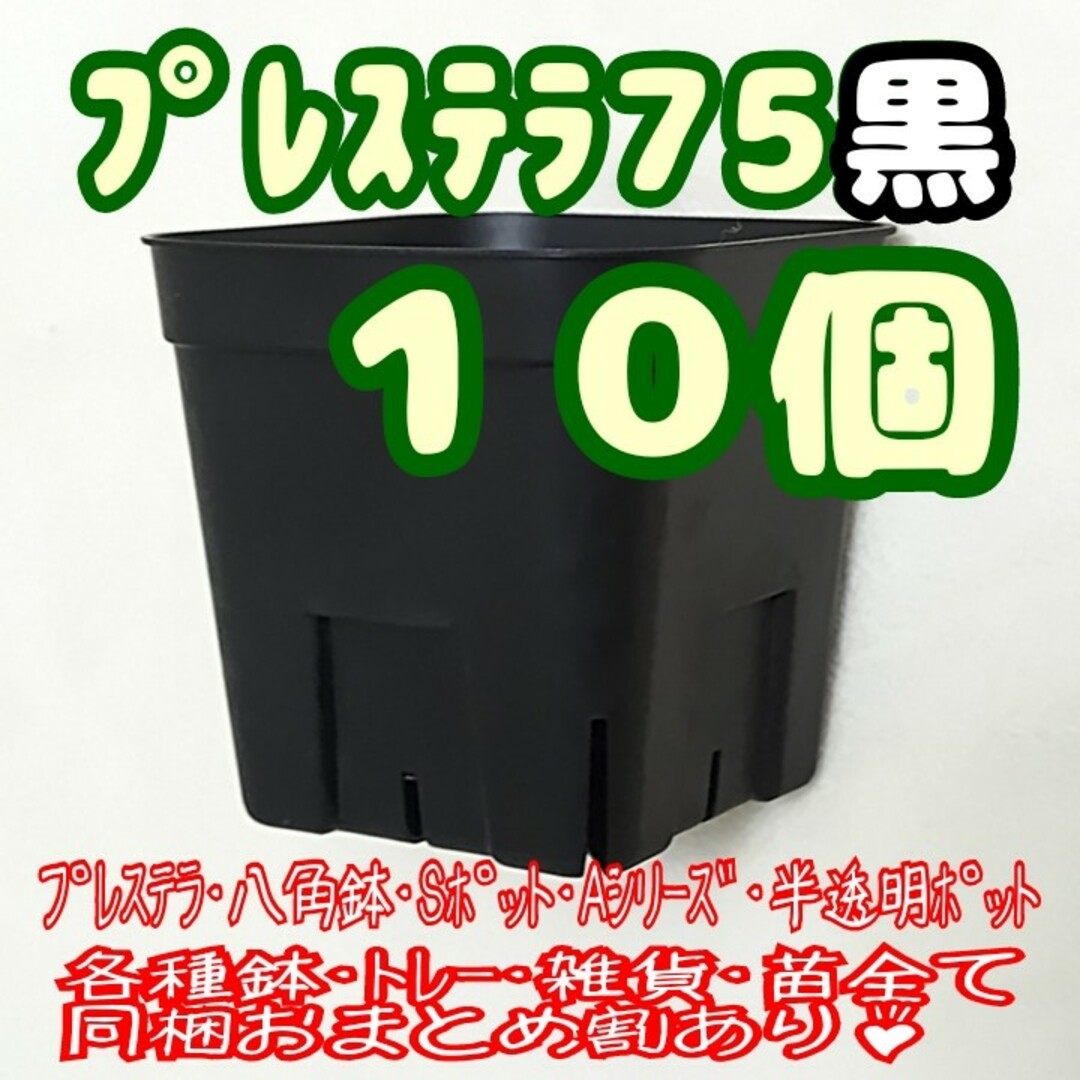 【スリット鉢】プレステラ75黒10個 多肉植物 プラ鉢 ハンドメイドのフラワー/ガーデン(プランター)の商品写真