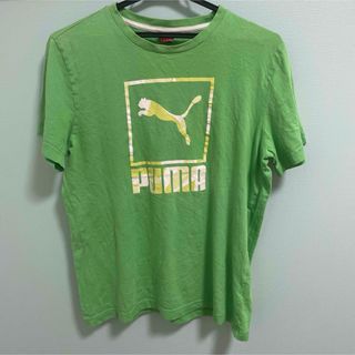 プーマ(PUMA)のPUMA プーマ　半袖Tシャツ　キッズ　　160 xxl 緑 (Tシャツ/カットソー)