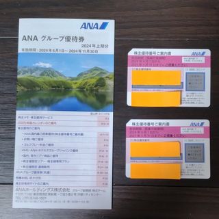 ANAグループ優待券(航空券)