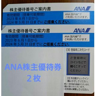 エーエヌエー(ゼンニッポンクウユ)(ANA(全日本空輸))のANA株主優待券２枚(航空券)