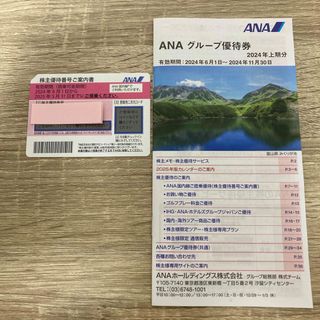 エーエヌエー(ゼンニッポンクウユ)(ANA(全日本空輸))のANA株主優待券(その他)