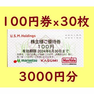 🌱100円券x10枚🌱カスミMaxValuマルエツ株主優待🌱送料込(ショッピング)