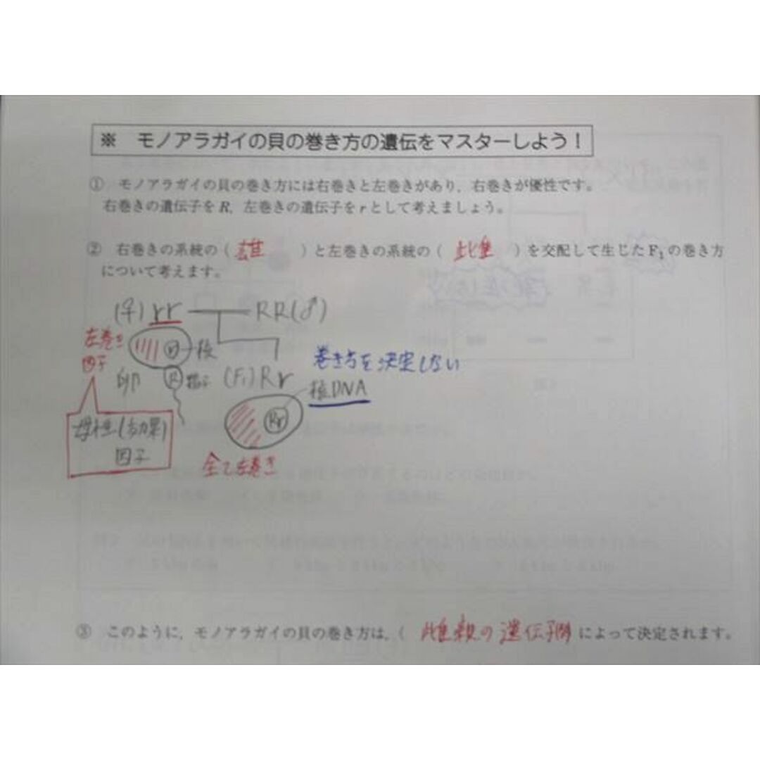 WM28-273 駿台 遺伝特講 2023 夏期 07s0C エンタメ/ホビーの本(語学/参考書)の商品写真