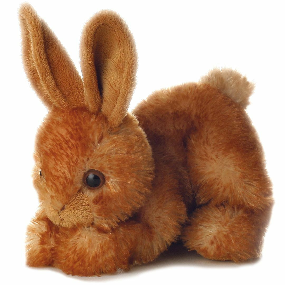 オーロラワールドぬいぐるみ ネイチャーキッズ ウサギ ブラウン キッズ/ベビー/マタニティのおもちゃ(ぬいぐるみ/人形)の商品写真