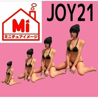 1/64 1/43  1/32  1/24  joy21 フィギュア　完成品(その他)