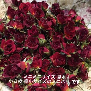 ミニミニ薔薇20輪セット+おまけ2輪付き★ミニバラ ドライフラワー花材★素材