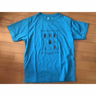 モンベル(mont bell)のmont-bell print tee kids 150(Tシャツ/カットソー)