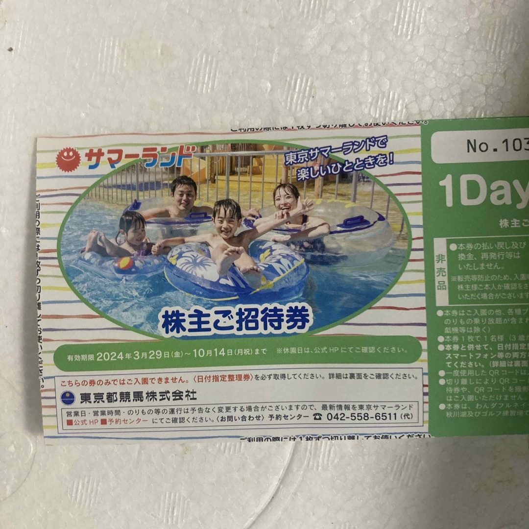 東京サマーランド　株主優待　4枚 チケットの施設利用券(プール)の商品写真