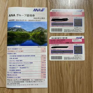 エーエヌエー(ゼンニッポンクウユ)(ANA(全日本空輸))のANAグループ株主優待券(航空券)