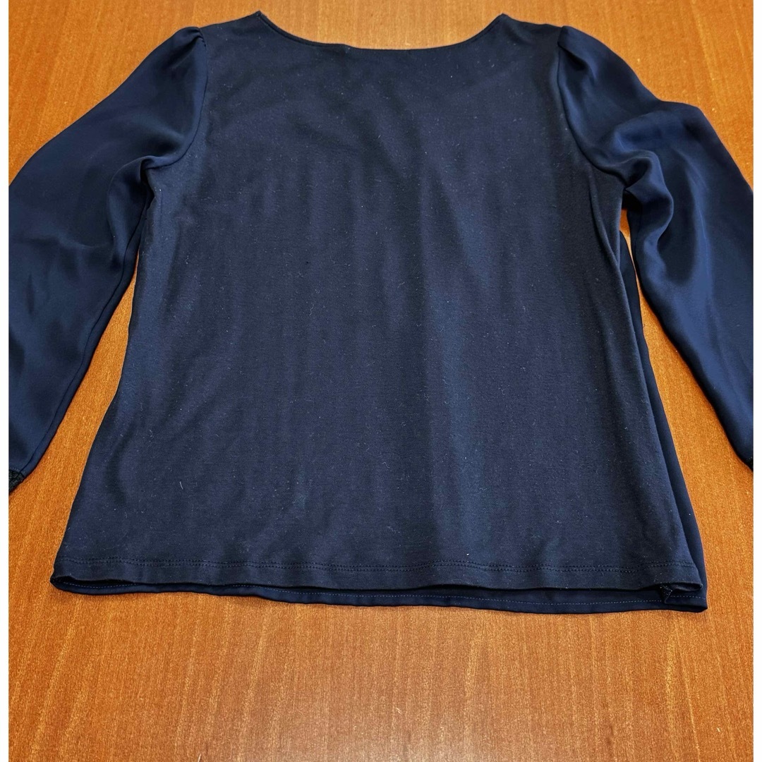 ANAYI(アナイ)のANAYI 夏用トップス　袖に透け感あり　38 レディースのトップス(カットソー(長袖/七分))の商品写真