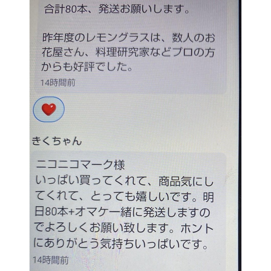 ベトナム最高香り柔らかい種レモングラス抜き苗6本サイズバラバラ 食品/飲料/酒の食品(野菜)の商品写真