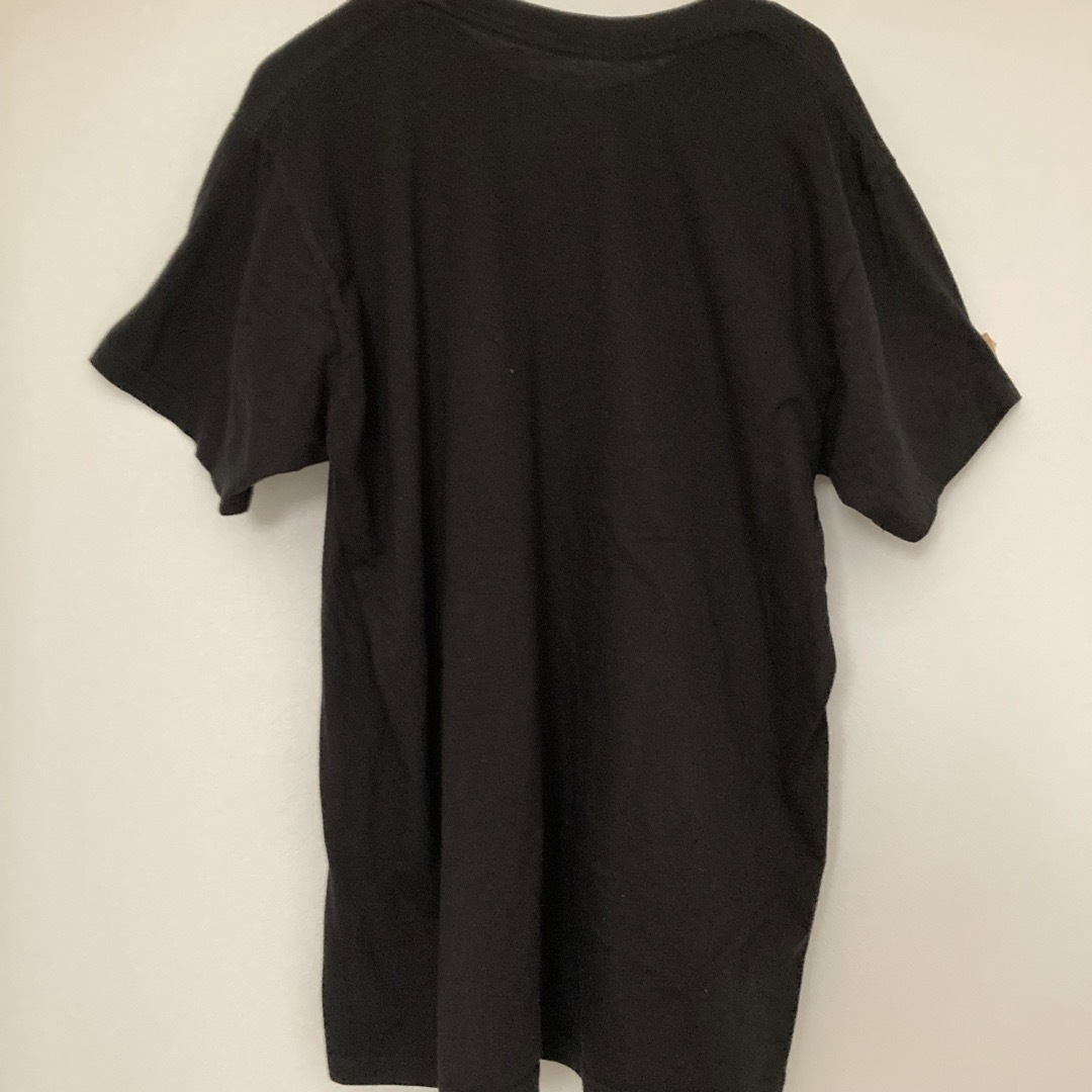 PANTERA パンテラ バンドTシャツ テキサス メンズのトップス(Tシャツ/カットソー(半袖/袖なし))の商品写真