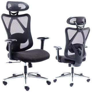 TANUMI 人間工学オフィスチェア | ハイバック 事務椅子 独立式ランバーサ(オフィスチェア)