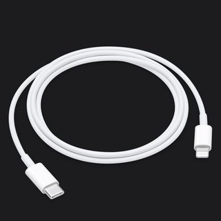 APPLE Lightning -USB-Cケーブル 1m (その他)