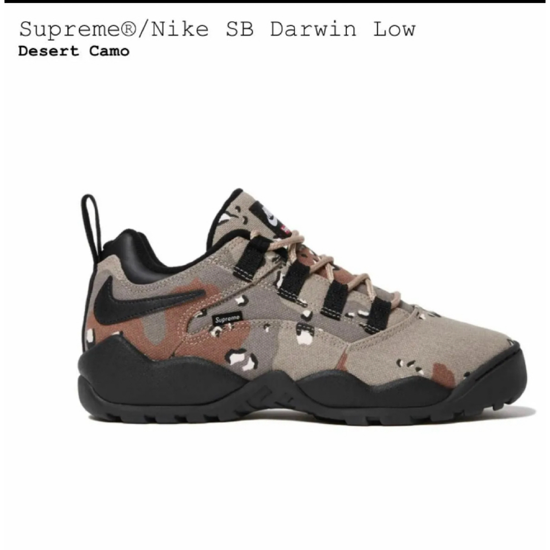 Supreme(シュプリーム)のSupreme Nike SB Darwin Low Desert Camo メンズの靴/シューズ(スニーカー)の商品写真