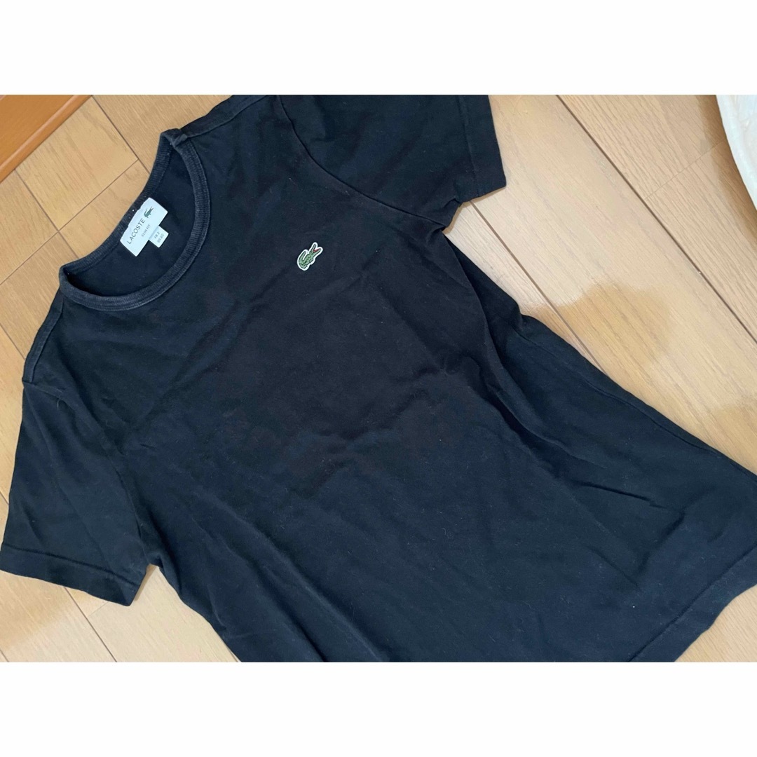LACOSTE(ラコステ)の限定 特価 ラコステ LACOSTE 半袖 Tシャツ ブラック コットン シャツ レディースのトップス(Tシャツ(半袖/袖なし))の商品写真
