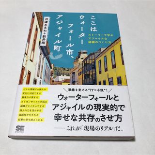 ここはウォーターフォール市、アジャイル町(コンピュータ/IT)