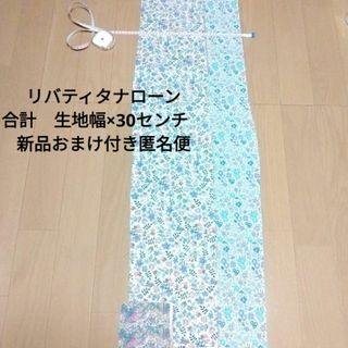 リバティ(LIBERTY.)の❇リバティタナローン　細長いはぎれセット　合計生地幅×30㎝❇匿名便＆おまけ付き(生地/糸)