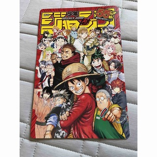 ワンピース(ONE PIECE)のワンピース　下敷　付録(その他)