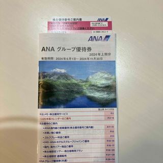 エーエヌエー(ゼンニッポンクウユ)(ANA(全日本空輸))のANA株主優待(航空券)