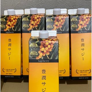 フィネス(Finess)のフィネス豊潤サジー1000ml・５本(ダイエット食品)