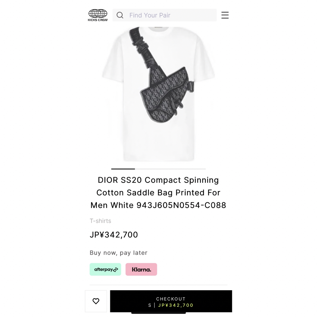 Dior(ディオール)のDIOR HOMME 20SS SADDLE サドルバッグプリント M メンズのトップス(Tシャツ/カットソー(半袖/袖なし))の商品写真