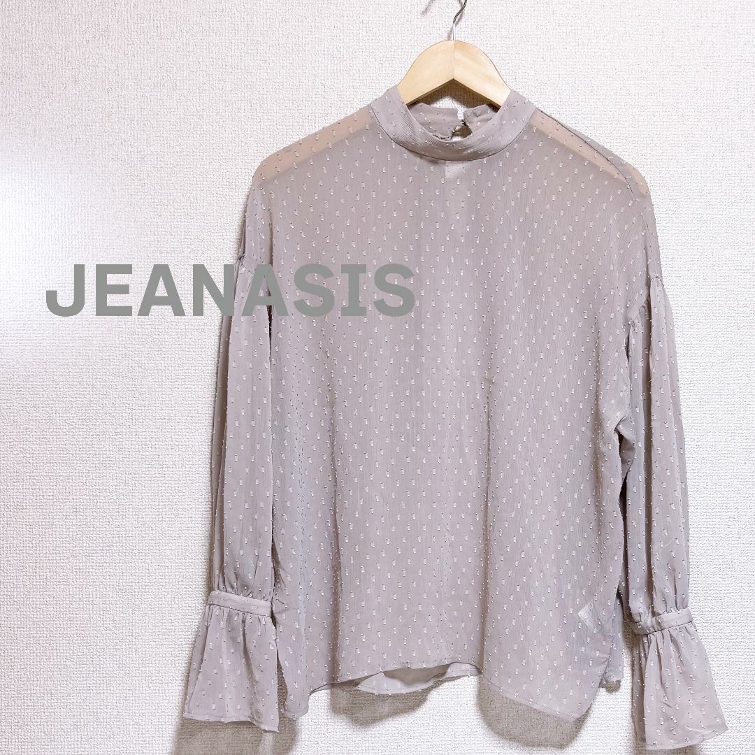 JEANASIS(ジーナシス)のJEANASIS ジーナシス　ブラウス　カットソー　シースルー　ドット　刺繍 レディースのトップス(シャツ/ブラウス(長袖/七分))の商品写真