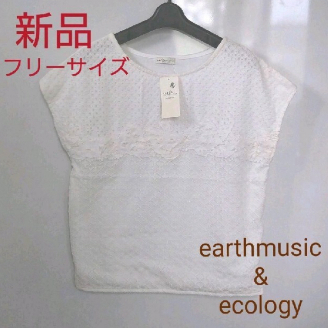 earth music & ecology(アースミュージックアンドエコロジー)の新品　上品レーストップス　ホワイト レディースのトップス(カットソー(半袖/袖なし))の商品写真