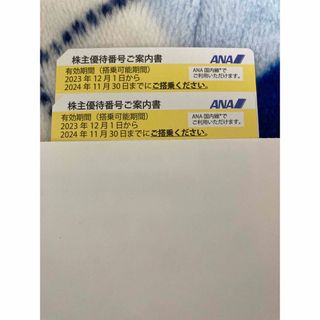 ANA 全日空 株主優待券 2枚(その他)