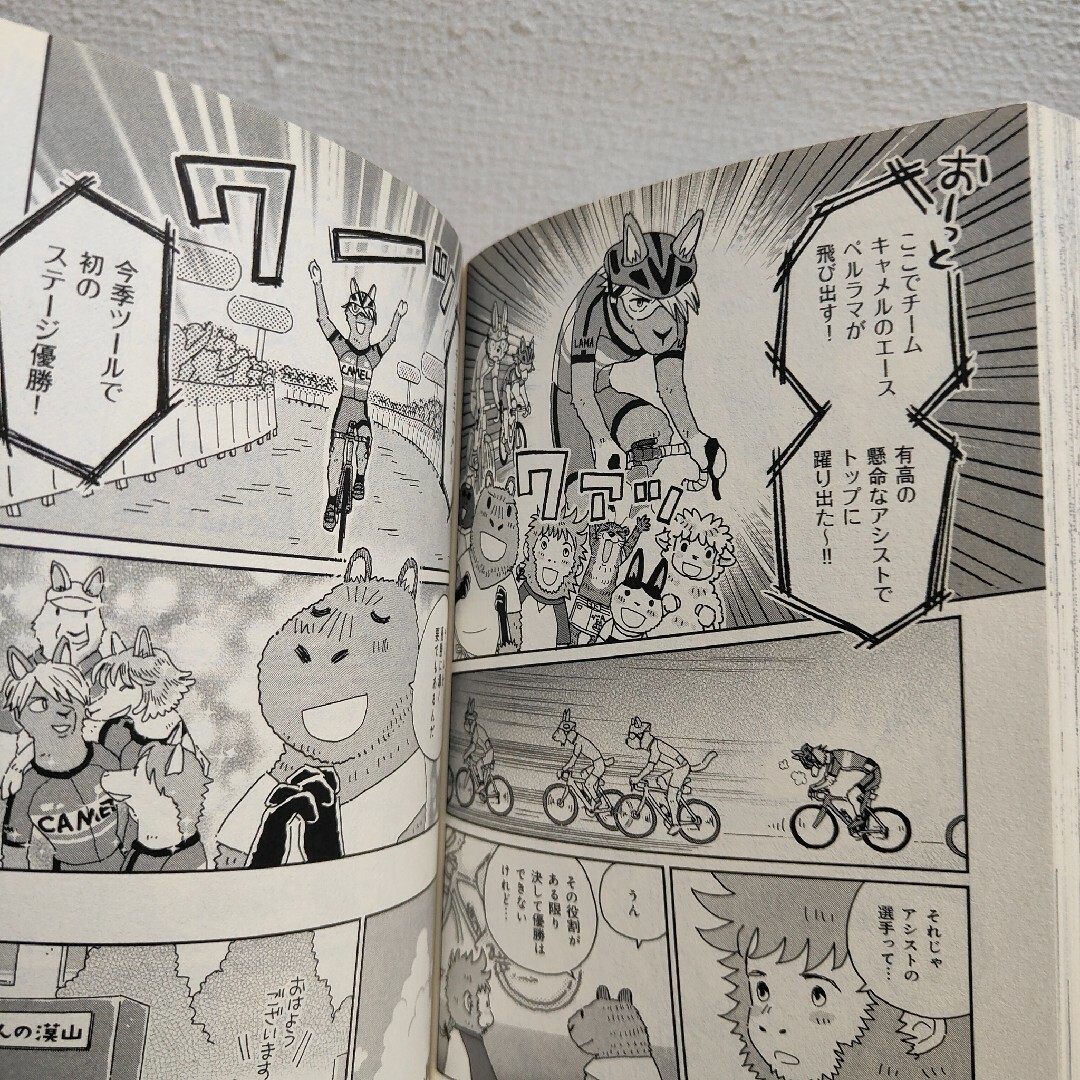 かわうその自転車屋さん 10 エンタメ/ホビーの漫画(青年漫画)の商品写真
