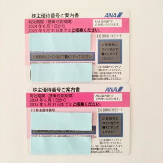 エーエヌエー(ゼンニッポンクウユ)(ANA(全日本空輸))のANA 全日空 株主優待券 ２枚【有効期間 2025年5月31日 まで】(航空券)