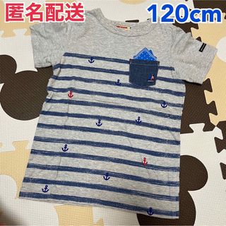 ②ミキハウス♡ボーダーマリン半袖Ｔシャツ♡120cm