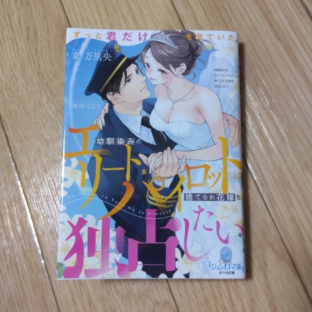 幼馴染みのエリートパイロットは捨てられ花嫁を独占したい エンタメ/ホビーの本(文学/小説)の商品写真