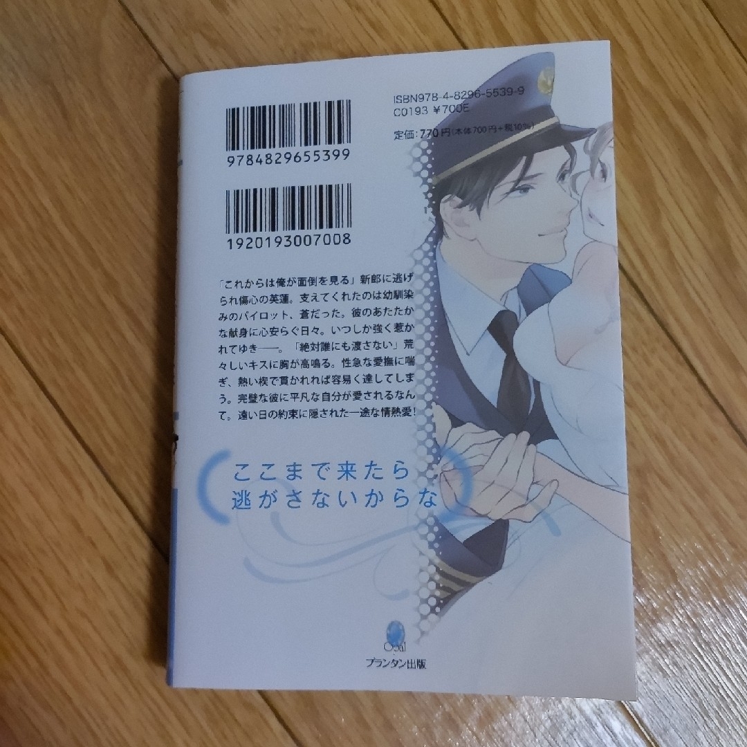 幼馴染みのエリートパイロットは捨てられ花嫁を独占したい エンタメ/ホビーの本(文学/小説)の商品写真