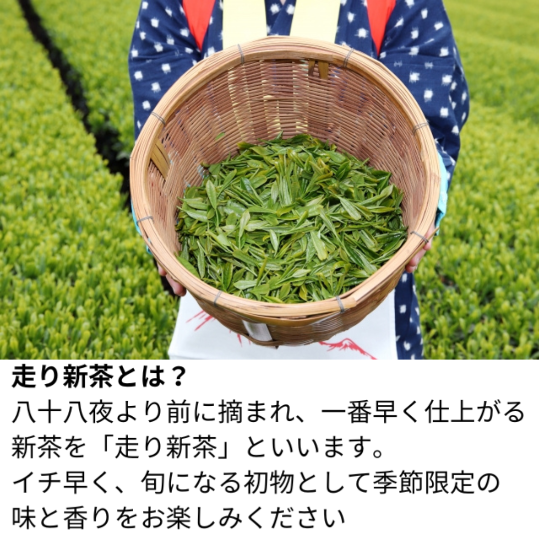 新茶 2024年産 鹿児島 知覧産 深蒸し[はしり新茶] 100g 2袋セット 食品/飲料/酒の飲料(茶)の商品写真