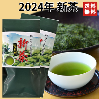 新茶 2024年産 鹿児島 知覧産 深蒸し[はしり新茶] 100g 2袋セット