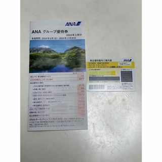 エーエヌエー(ゼンニッポンクウユ)(ANA(全日本空輸))のANA株主優待券(その他)